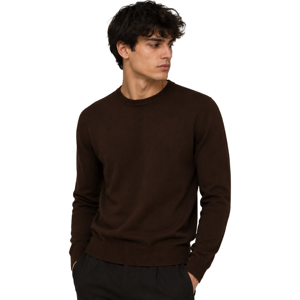 Alpha Studio Men's Brown Sweater
