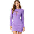 Elisabetta Franchi Women's Purple Dress